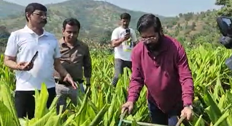 मुख्यमंत्री एकनाथ शिंदे यांनी स्वतःच्या शेताची पाहणी करत शेतीच्या कामाचा घेतला आढावा
